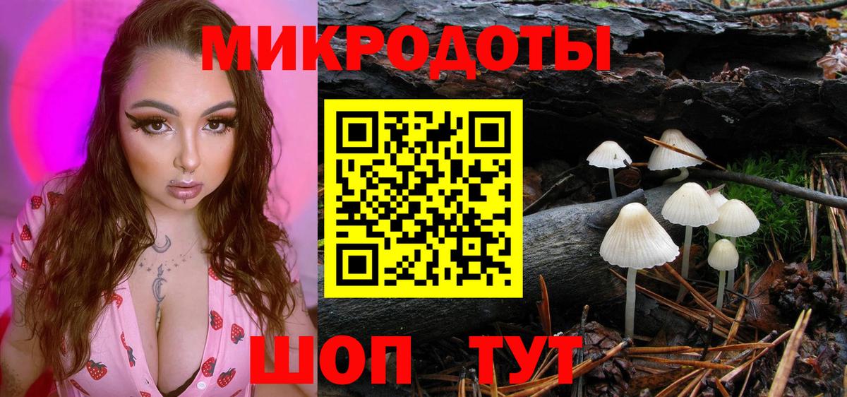 Галлюциногенные грибы прущие грибы Михайловка